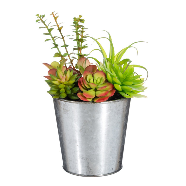 The Seasonal Aisle Artificial Plant in Pot Wayfair.co.uk
